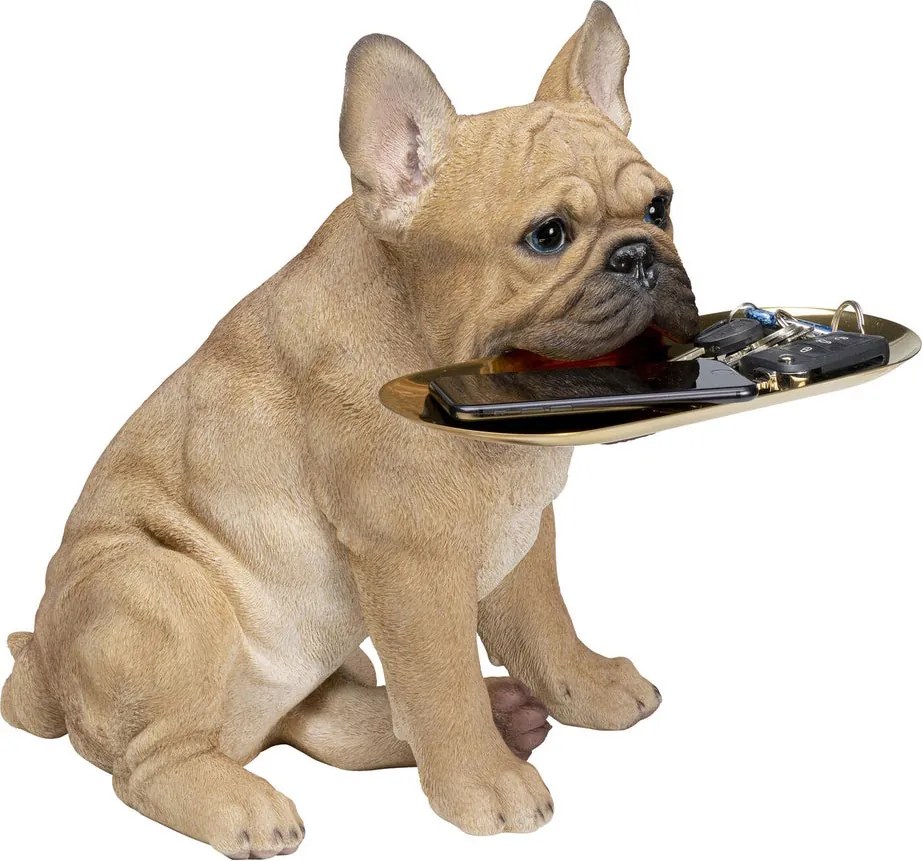 Franse Bulldog Met Dienblad