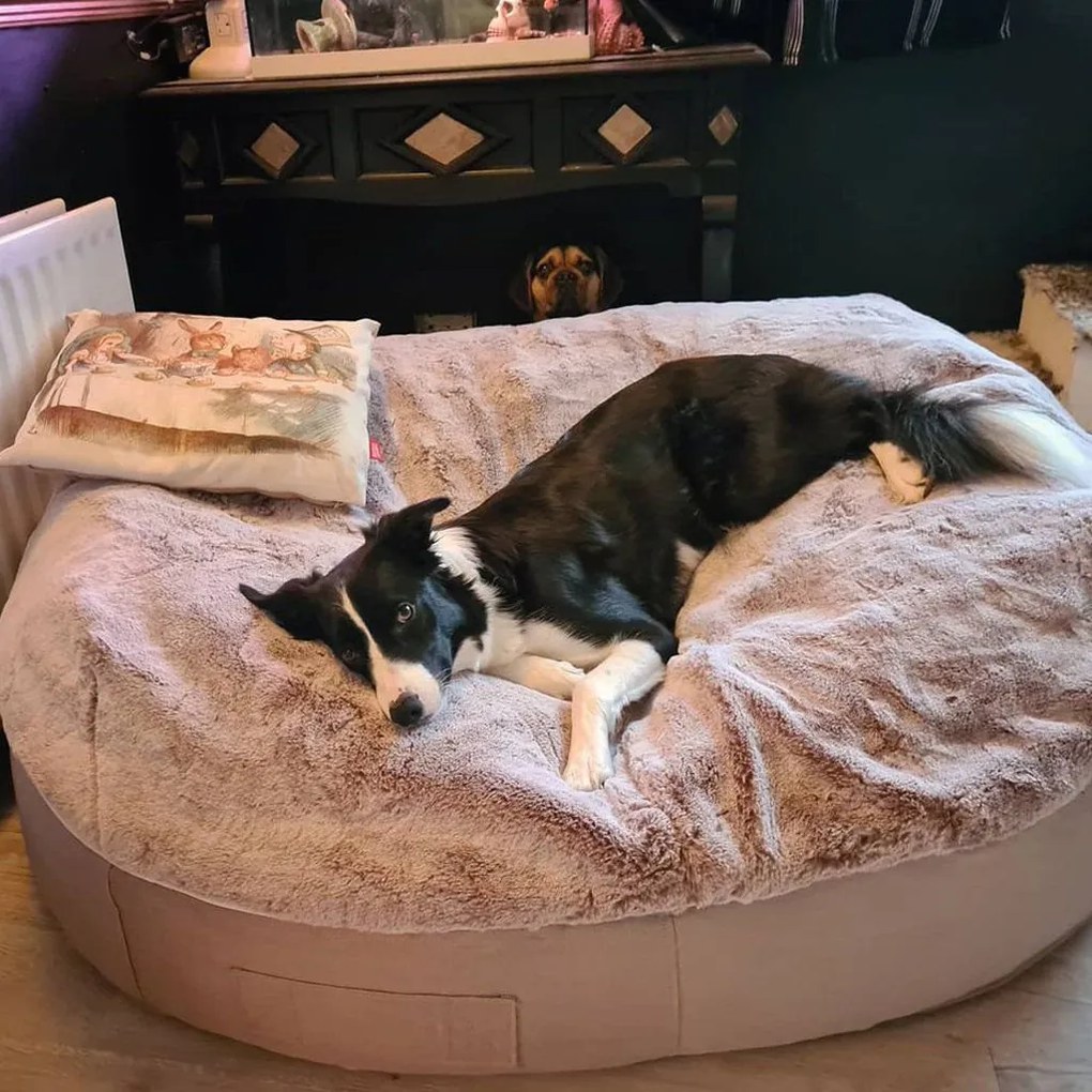 Pet Bed Indoor/Outdoor Cappuccino - XXL