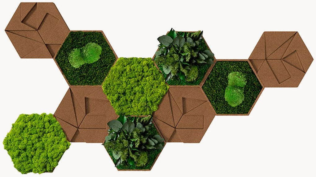 Wanddecoratie Hexagon 10