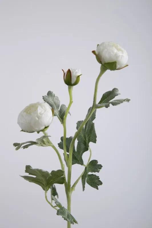 Ranonkel - zijden bloem - wit - topkwaliteit