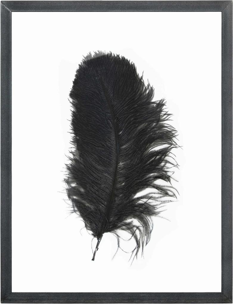 HKliving Ostrich Feather XL wanddecoratie