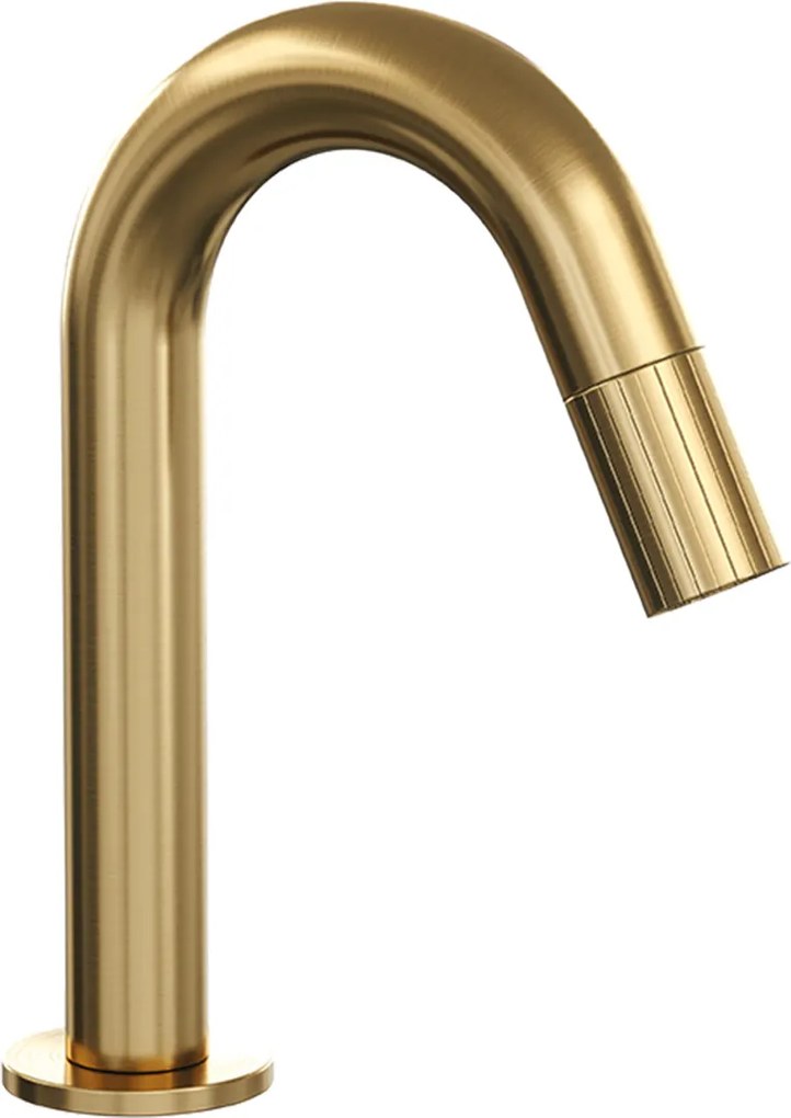 Brauer Stripe opbouw fonteinkraan met gebogen uitloop messing geborsteld PVD