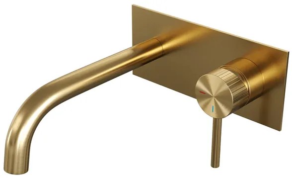 BRAUER Stripe Inbouw Wastafelmengkraan - gebogen uitloop en afdekplaat - model A1 - goud geborsteld PVD 5-GG-329