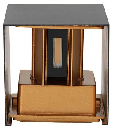 Buiten wandlamp zwart met goud incl. LED 2-lichts IP54 - Edwin