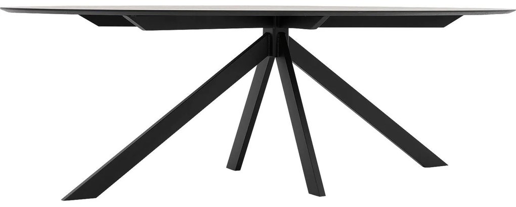 Goossens Excellent Eettafel Uniek, Ovaal 260 x 120 cm