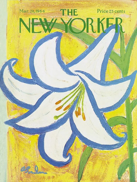 Ilustratie The NY Magazine Cover 242