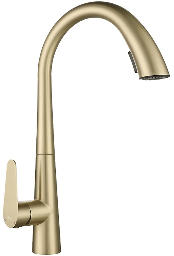 Keukenkraan REA Ross Gold Brush