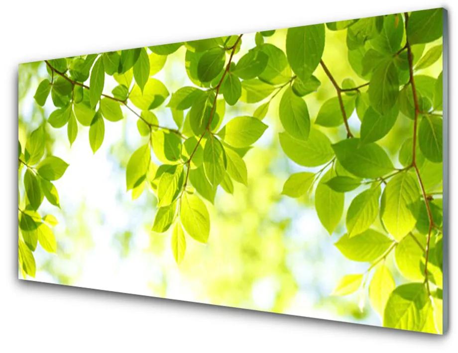 Glazen schilderij Bladeren natuur plant 100x50 cm