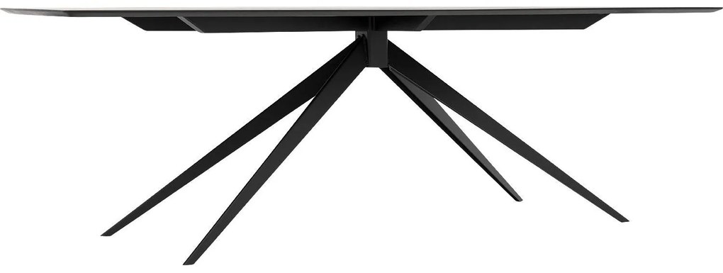 Goossens Excellent Eettafel Uniek, Semi rechthoekig 240 x 100 cm