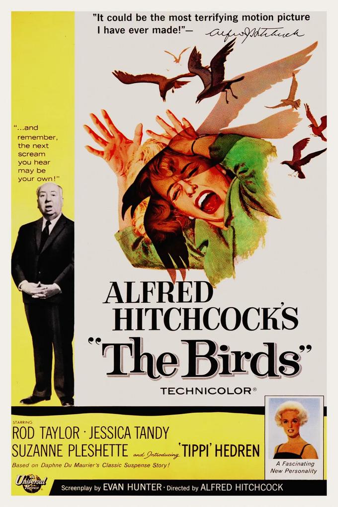 Kunstdruk The Birds / Alfred Hitchcock / Tippi Hedren (Retro Movie), (26.7 x 40 cm)