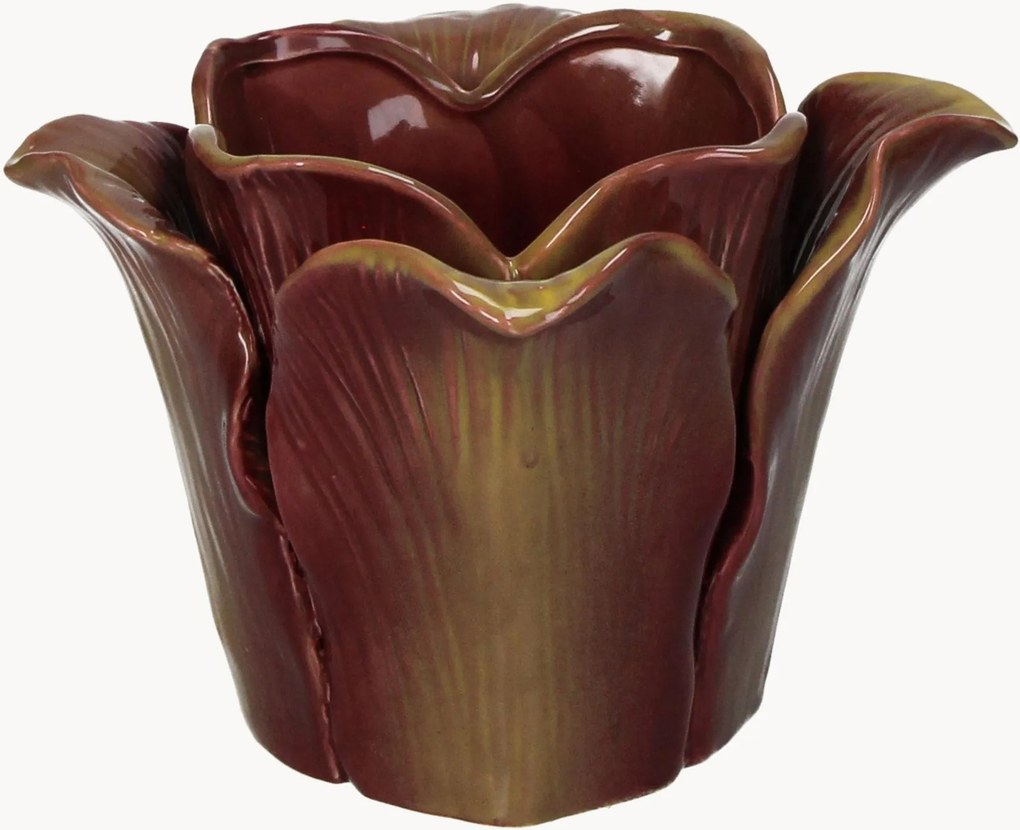Plantenpot Cabbage