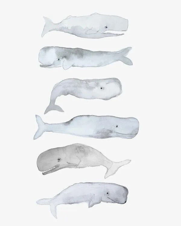 Ilustratie Kids Line Whale Art, Gemma Bardot