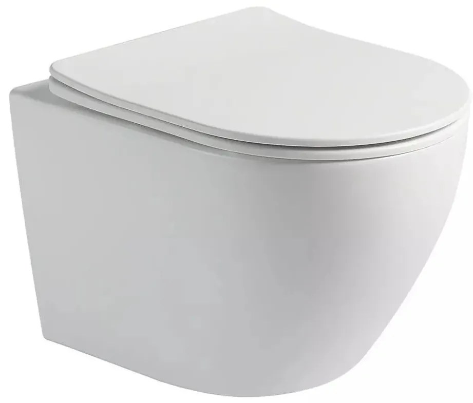 Lambini Design Kala hangend randloos toilet met softclose zitting wit mat