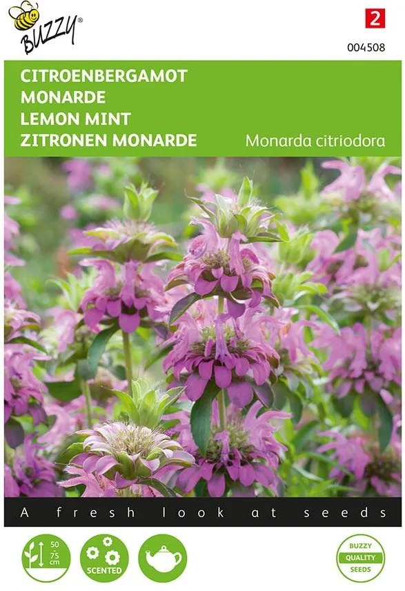 Buzzy seeds - bloemzaden - Monarda, Citroenbergamot