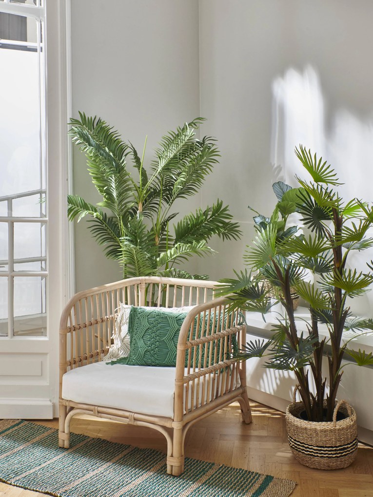 Kunstplant Jungle Fever | Pomax