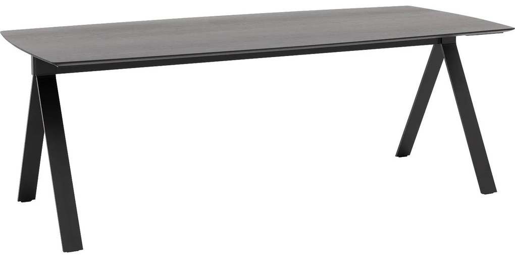 Goossens Excellent Eettafel Uniek, Semi rechthoekig 300 x 100 cm