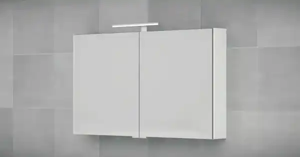 Incarijk Alfabetische volgorde Ongrijpbaar Bruynzeel spiegelkast 120x70cm met 2 deuren exclusief verlichting aluminium  232408 | BIANO