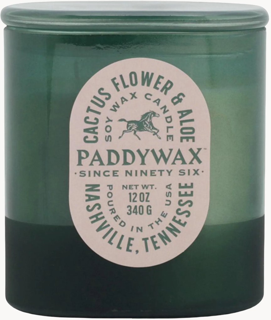 3-lonts geurkaars Vista (cactusbloem & aloë)