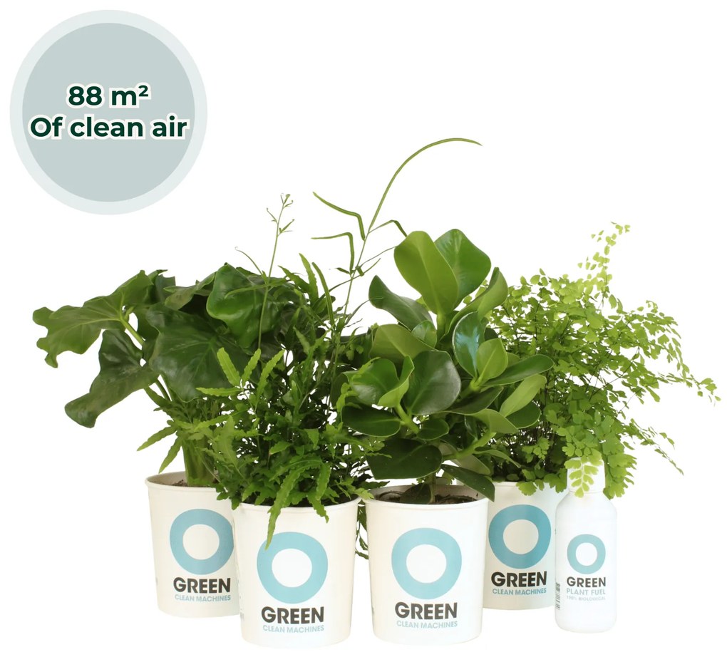 Ogreen Animal Friendly