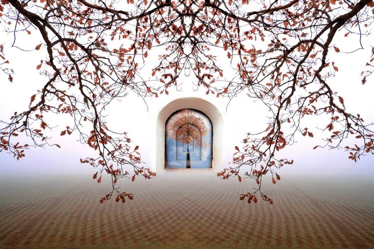 Foto Tree of life, Christina Sillen