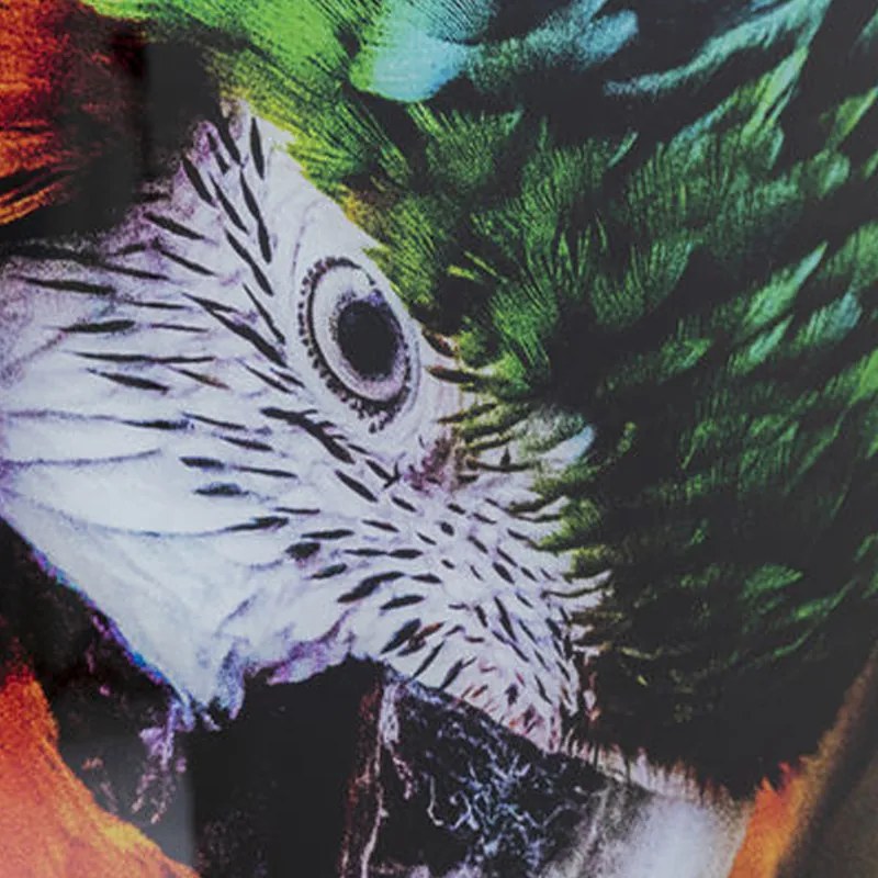 Kare Design Tropical Parrot Glas Schilderij Papegaai