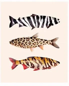 Fish Prints Wandsysteem 120 x 100 cm