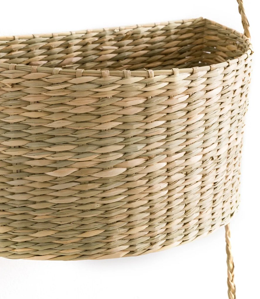 Hangende mandjes in herbarium, Cesta