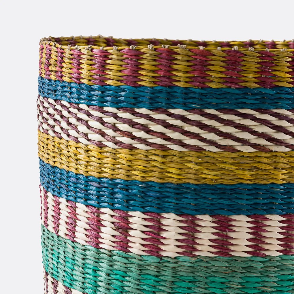 Veelkleurige mand in herbarium, Balia