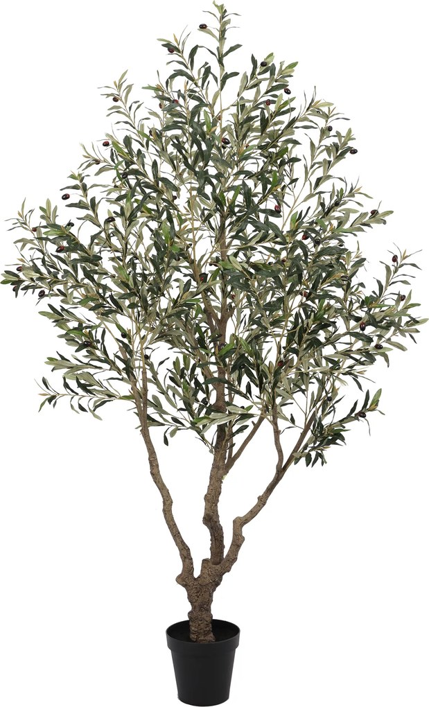 Kunst olijfboom robuust meerstammig hoogte 210 cm