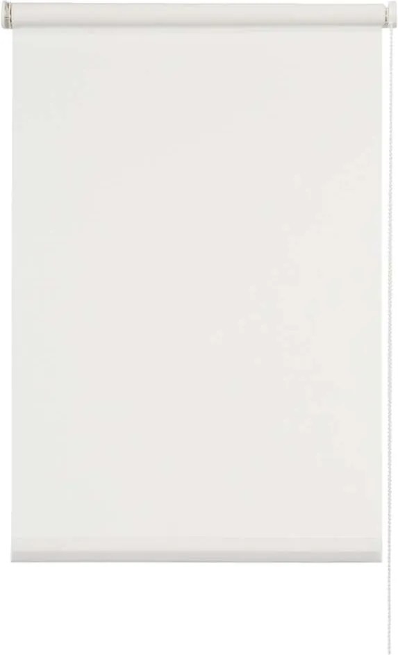 Rolgordijn lichtdoorlatend - transparant wit - 60x190 cm - Leen Bakker