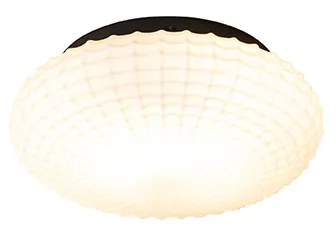 Klassieke plafondlamp zwart met opaal glas 23 cm IP44 - Nohmi