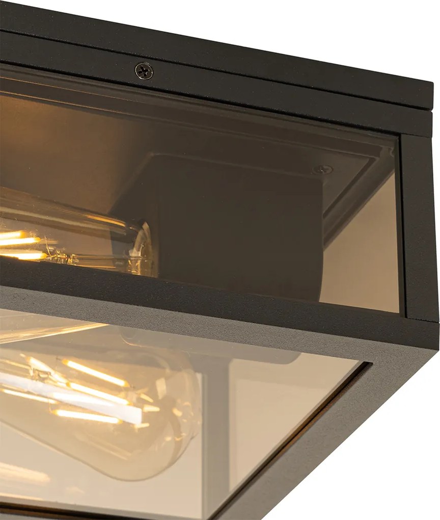 Plafondlamp zwart met smoke glas 2-lichts IP44 - Charlois