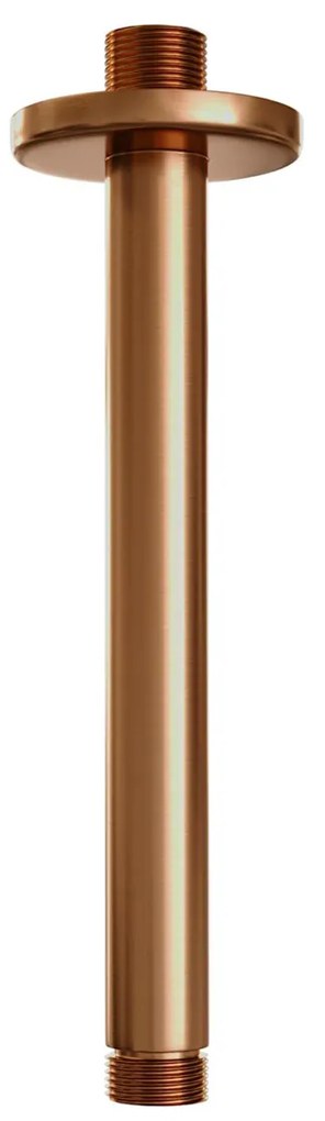Brauer Stripe inbouw regendouche rond met 25cm hoofddouche, rond met plafondarm, glijstang en staafhanddouche set 45 koper geborsteld PVD