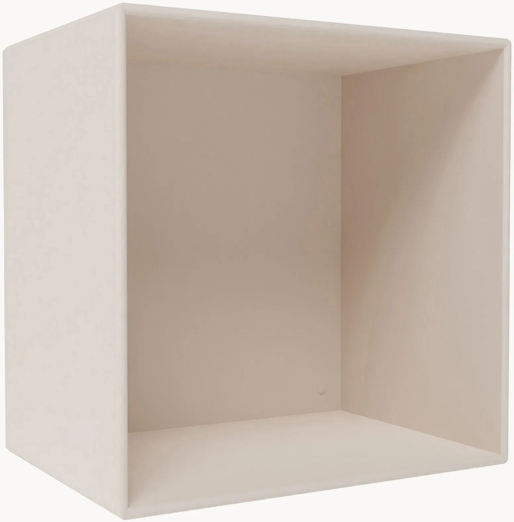 Module Mini 1001