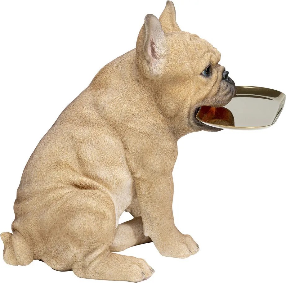 Franse Bulldog Met Dienblad