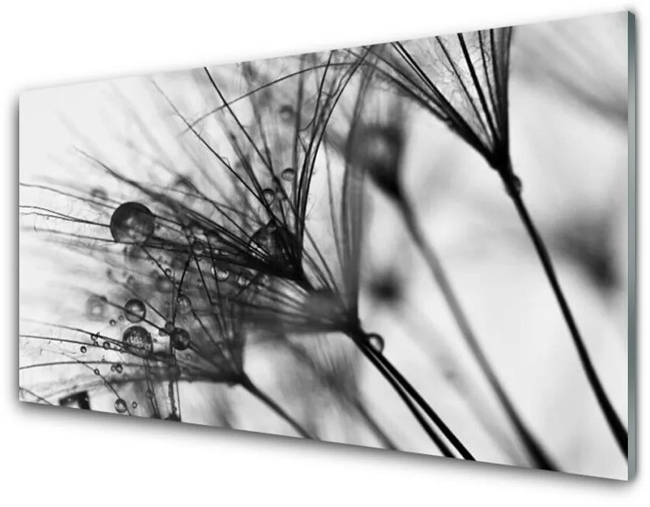 Glas schilderij Abstractie plant graphics 100x50 cm