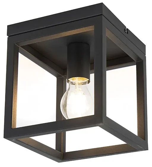 Industriële plafondlamp zwart staal - Cage Industriele / Industrie / Industrial, Design, Modern E27 vierkant Binnenverlichting Lamp