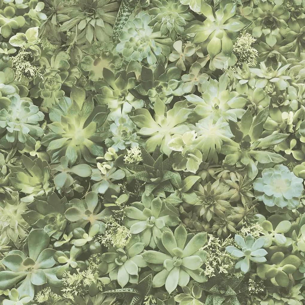 Noordwand Evergreen Behang Succulent groen en beige