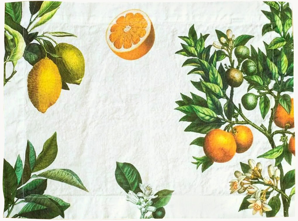 Placemats Citruses van linnen, set van 2