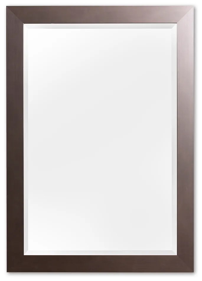 Moderne Spiegel 52x112 cm RVS - Betty