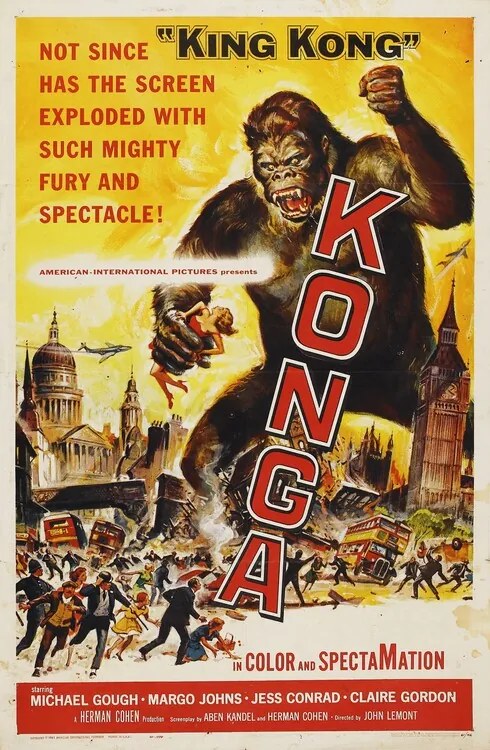 Ilustratie Konga