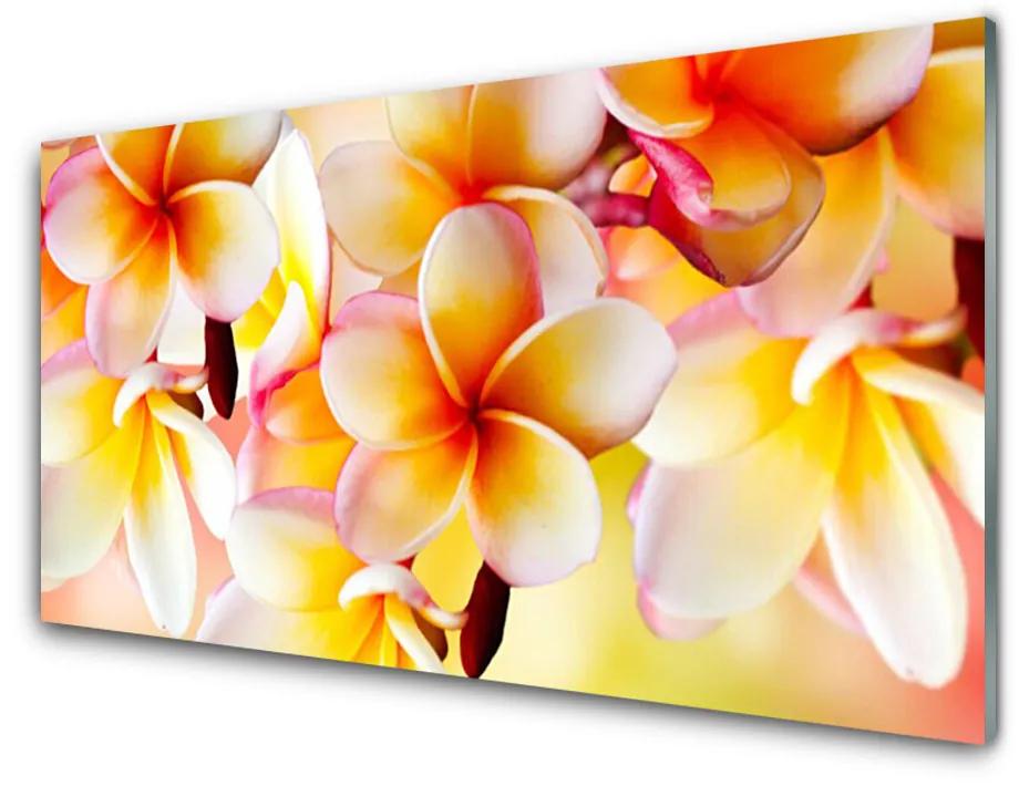 Schilderij op acrylglas Bloemen plant nature 100x50 cm