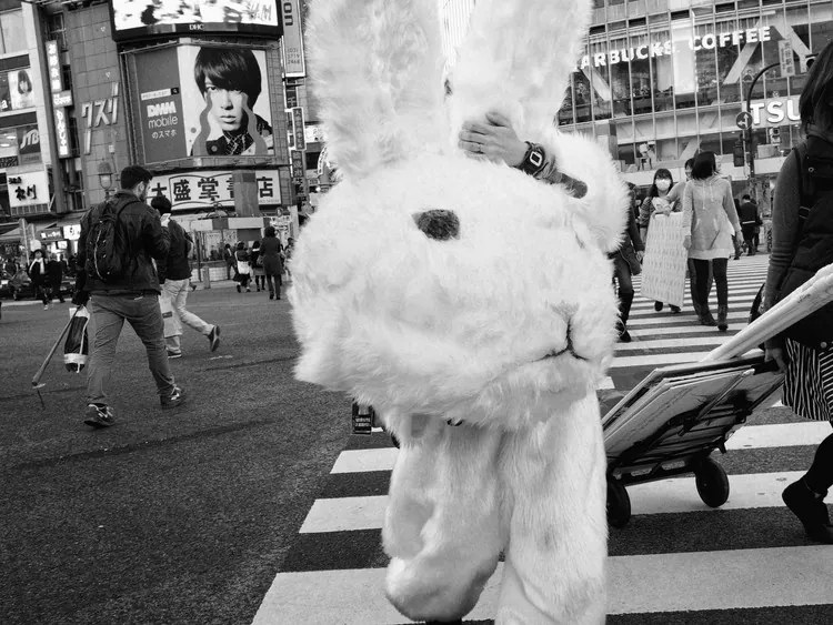 Foto Untitled, Tatsuo Suzuki