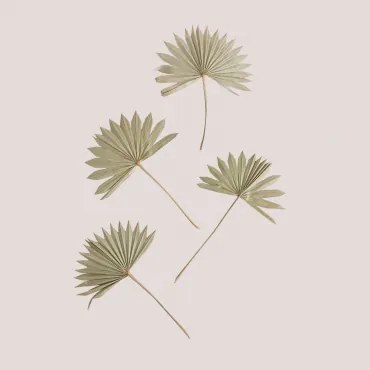 Set Van 4 Decoratieve Gedroogde Takken Urpek Bamboe Groen - Sklum