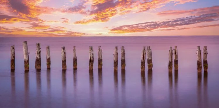 Foto Cape Pilings in Purple, Ed Esposito