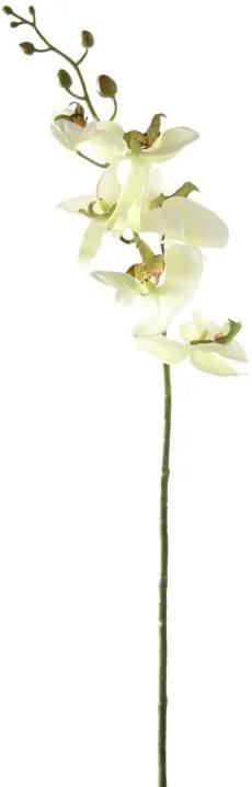 Orchidee Zachtgroen 85 cm