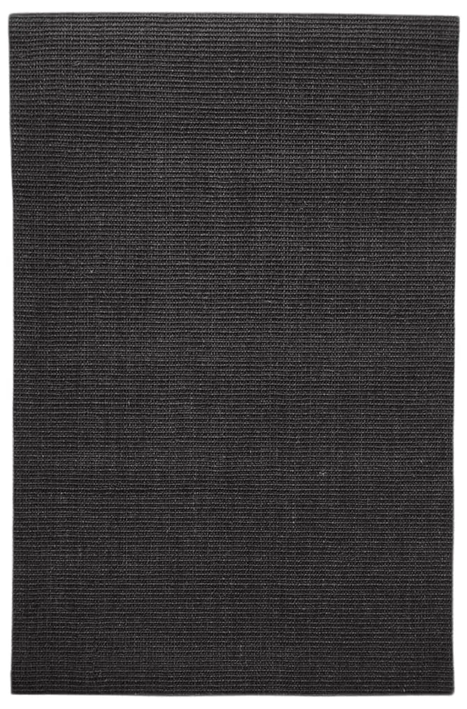 vidaXL Vloerkleed 66x100 cm natuurlijk sisal zwart