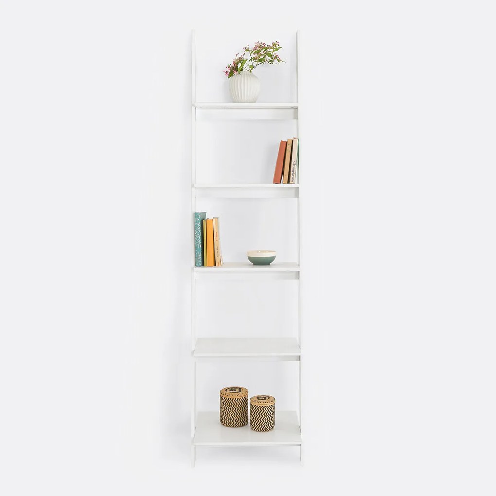 Wandrek in ladder model Domeno
