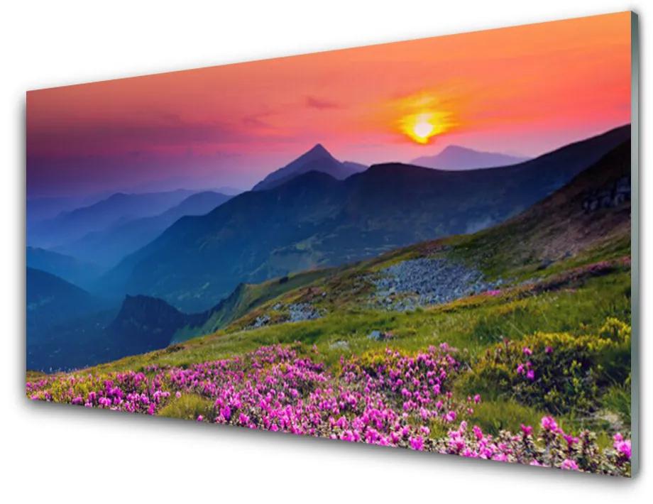 Foto in glas Mountain meadow flowers landscape 100x50 cm