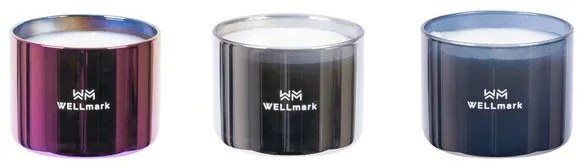 Wellmark Brave Collection Giftbox - 3x geurkaars klein - metallic purple silver grey 8720938454257